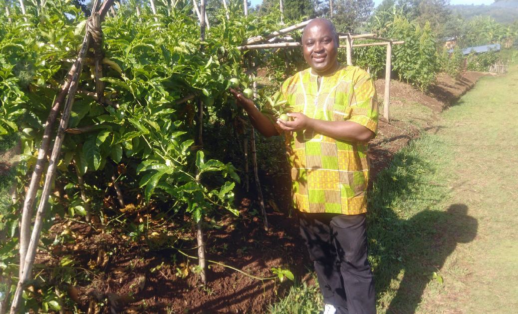 P. Roger Mpongo erntet Fr&uuml;chte ...