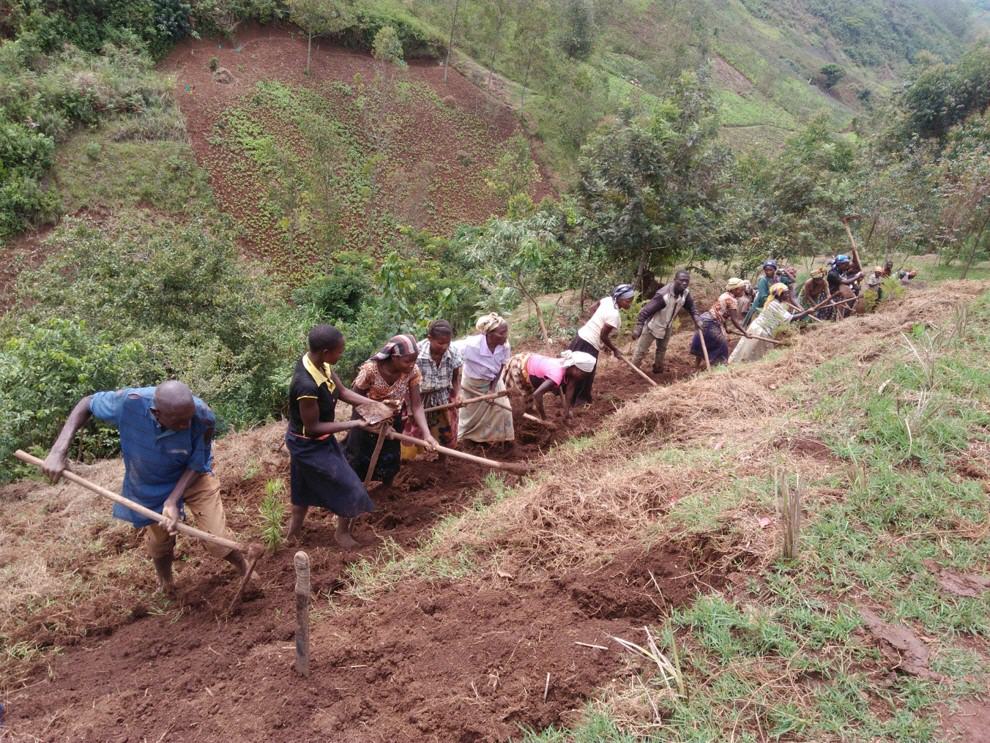 Die Werke werden sprechen!