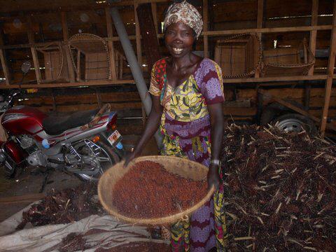 Frau bei der Verarbeitung der Palmfr&uuml;chte.